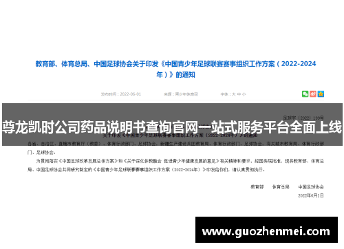 尊龙凯时公司药品说明书查询官网一站式服务平台全面上线 尊龙凯时公司药品说明书查询官网一站式服务平台全面上线